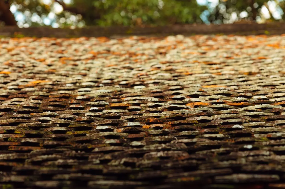 Aging shingle roof with moss growth and granule loss in Dalton, GA